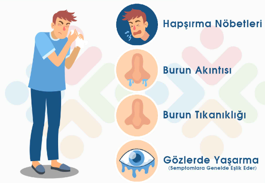 Alerjik Rinit Nedir