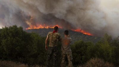 Orman yangınında yenilenme onlarca yıl sürecek