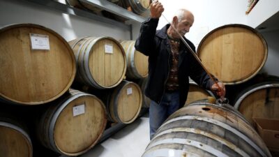 Kıbrıs’taki mikro şarap imalathaneleri, dünyanın en eski isimli şarabına geri dönüş sağlamayı umuyor