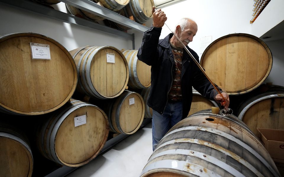 Kıbrıs’taki mikro şarap imalathaneleri, dünyanın en eski isimli şarabına geri dönüş sağlamayı umuyor