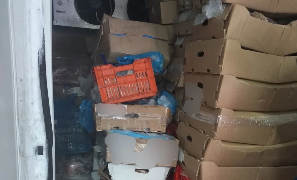 Pire’deki baskında hastanelere gönderilmek üzere olan ve tüketilmeye uygun olmayan et ele geçirildi