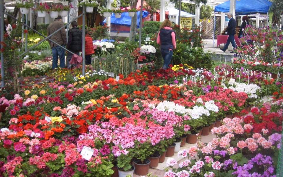Çiçek Şovu | Atina | 19 Mayıs’a