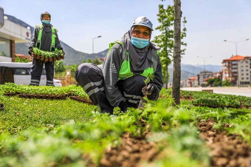 Büyükşehir ile daha yeşil bir Denizli